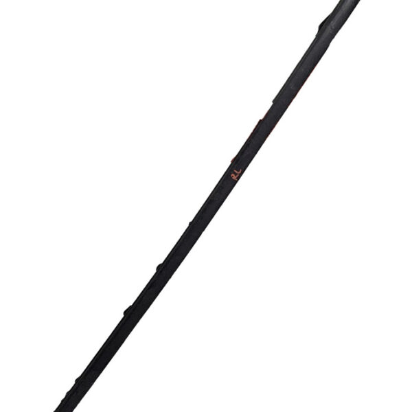 Lame Vidrio Bisel Exterior Trasero Izq Renault Megane 2 2005