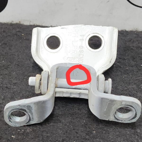 Bisagra Puerta r Ford Ecosport 2012