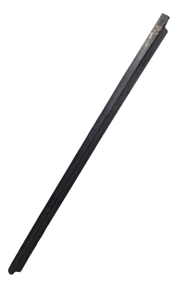 Bisel Lame Vidrio Trasero Izquierdo Ford Ecosport 2008