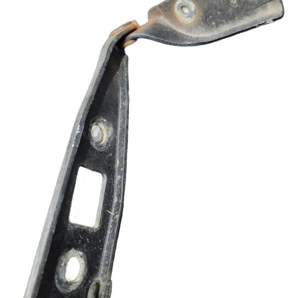 Bisagra Capó Izq Ford Ecosport 2008 2.0 4x4