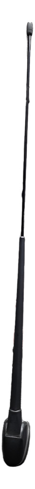 Antena De Radio Nissan March 2019
