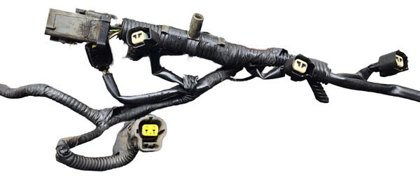 Ramal Electrico Inyector Ford Ecosport 2008 2.0 4x4