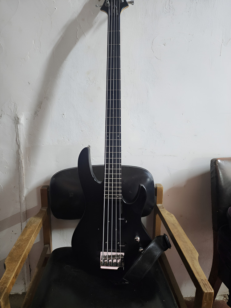 Bajo Eléctrico 5 Cuerdas Diestro Negro Tilo 5