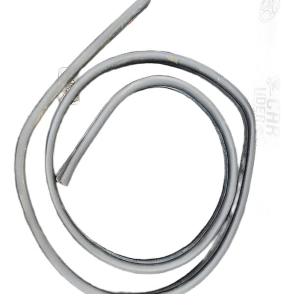 Empaque Puerta Cabina Delantero Ford Ecosport 2012