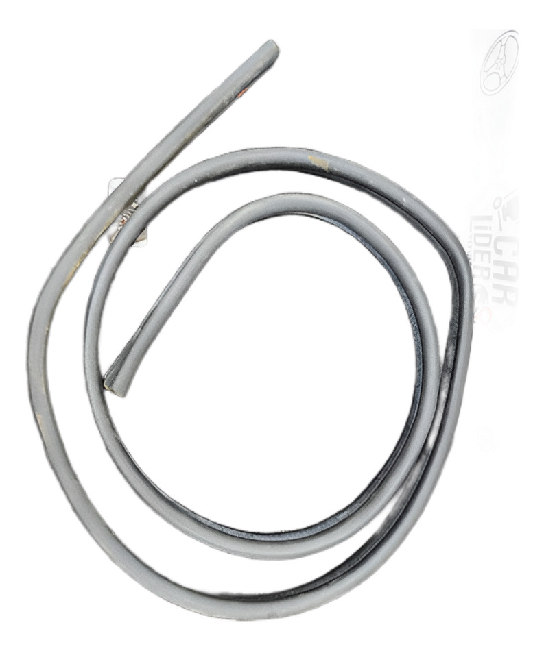 Empaque Puerta Cabina Delantero Ford Ecosport 2012