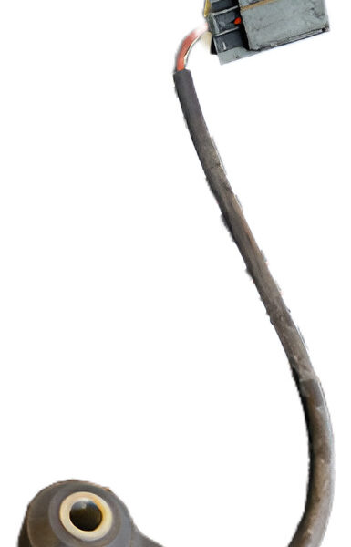 Sensor De Detonación Cascabeleo Ford Ecosport 2012