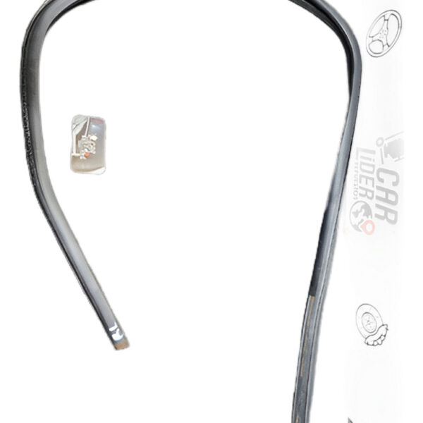 Empaque Vidrio Puerta Trasera Izquierdo Ford Ecosport 2012