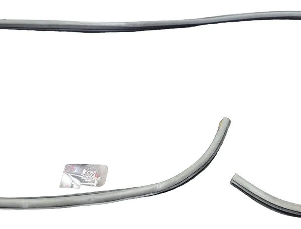 Empaque Puerta Cabina Delantero Izquierdo Chevrolet Optra 1.4 2005 MT