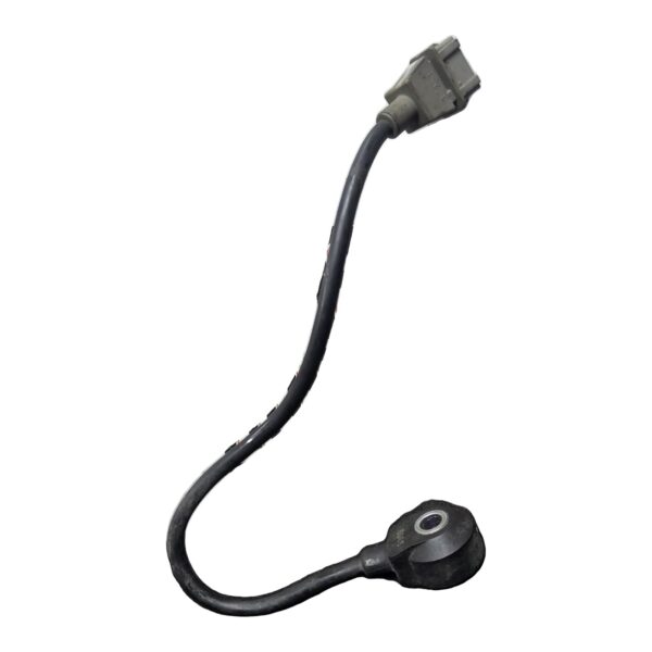Sensor De Detonación Cascabeleo Chevrolet Aveo GT 1.6 2011 MT