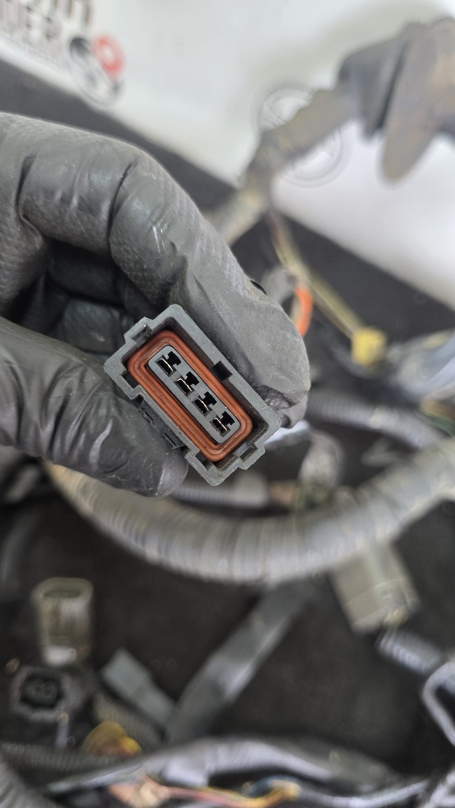 Ramal Eléctrico Motor Pachas ecu Nissan Sentra B13 1.6 1994 MT