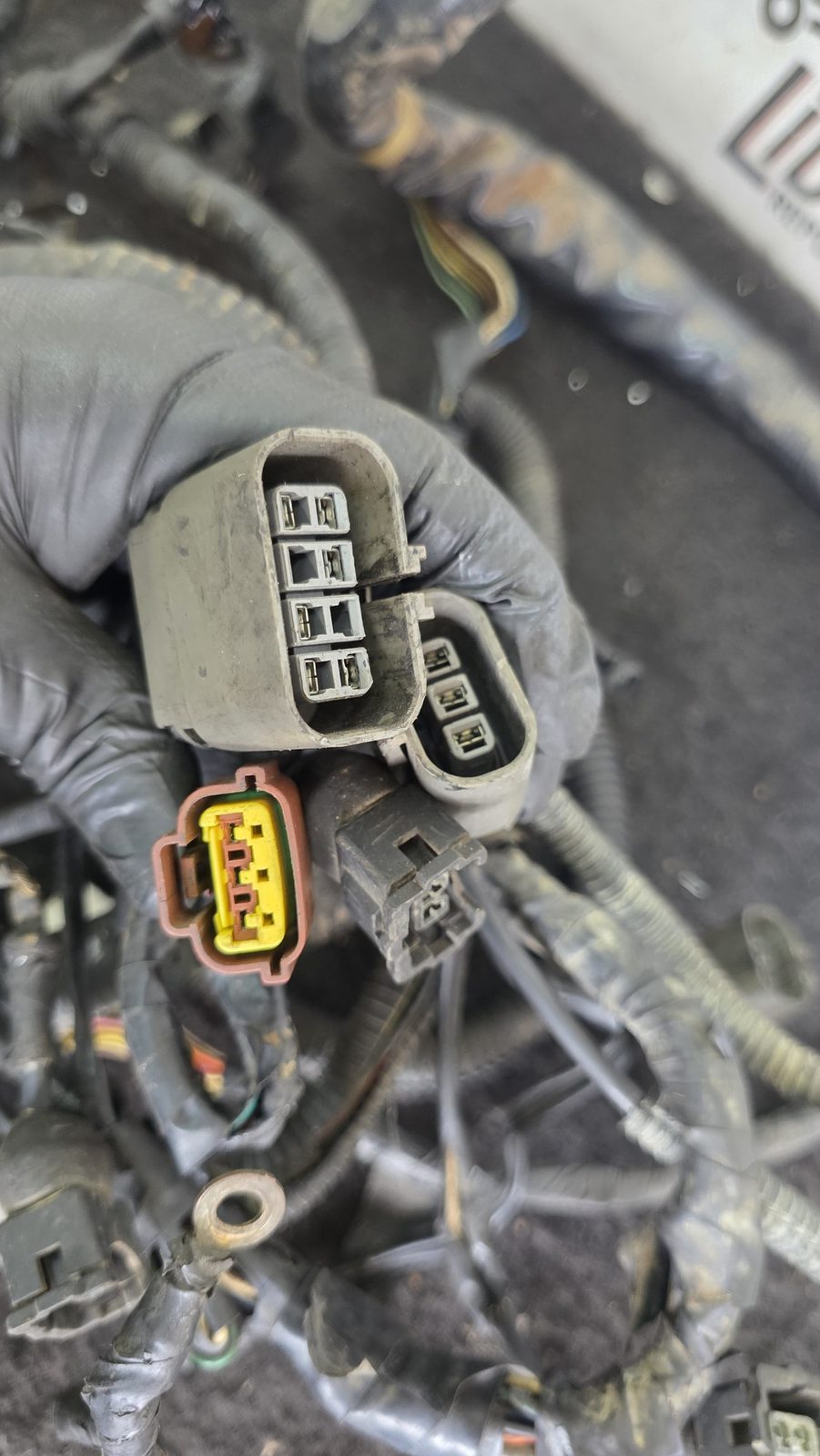 Ramal Eléctrico Motor Pachas ecu Nissan Sentra B13 1.6 1994 MT