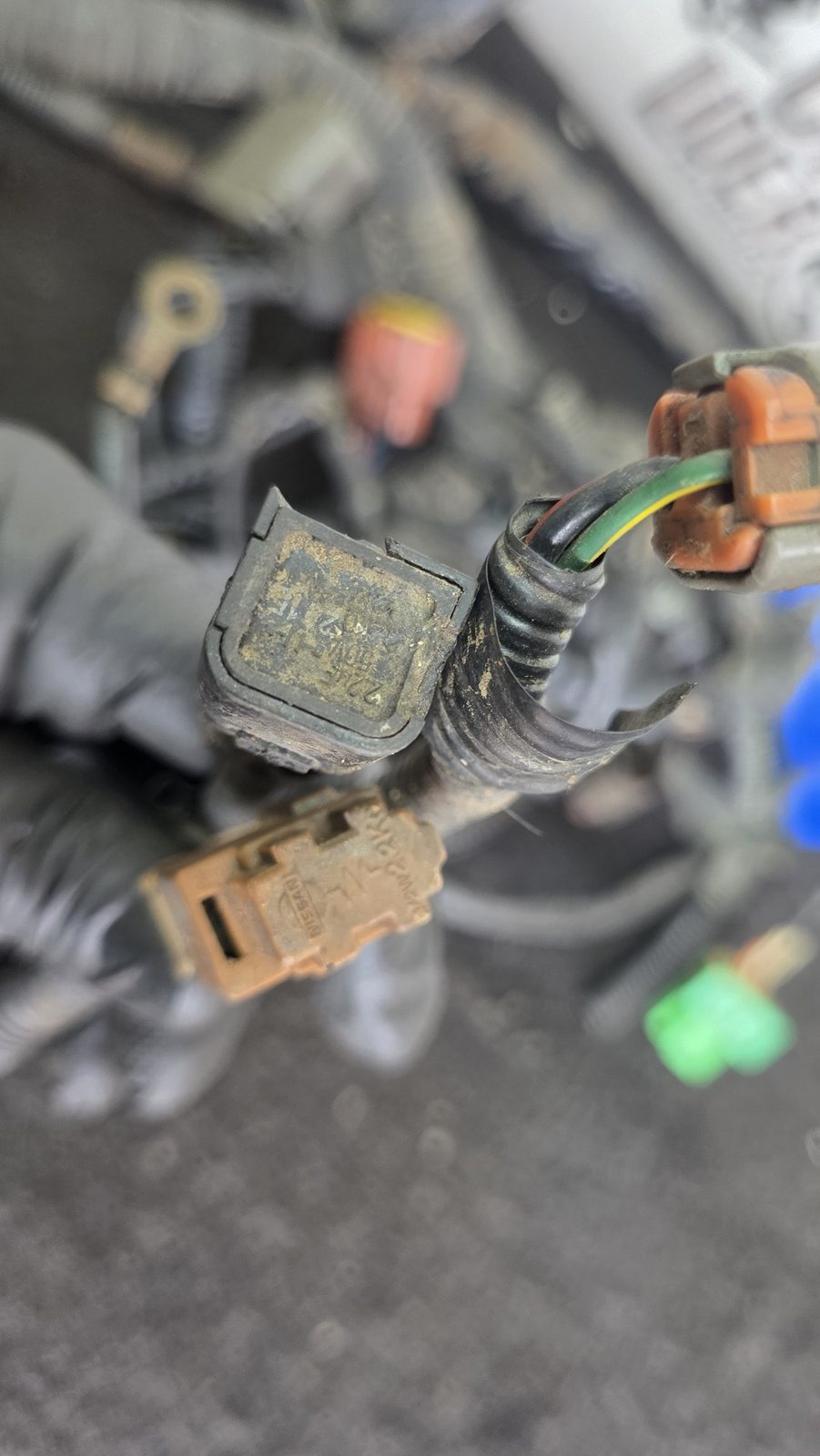Ramal Eléctrico Motor Pachas ecu Nissan Sentra B13 1.6 1994 MT